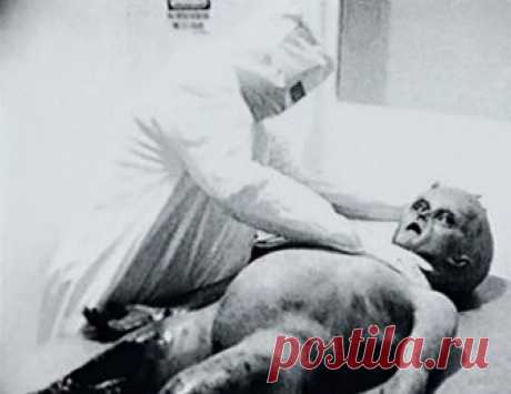 Научные сенсации, оказавшиеся фальшивками — Рамблер/субботний