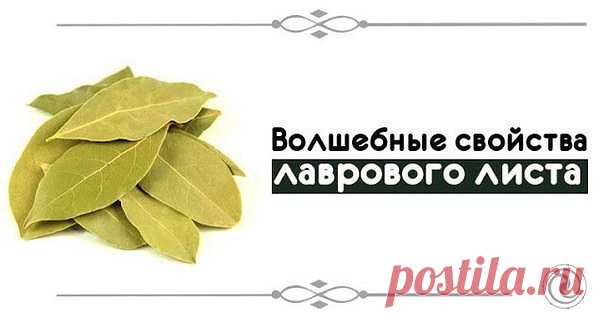 (9) Одноклассники