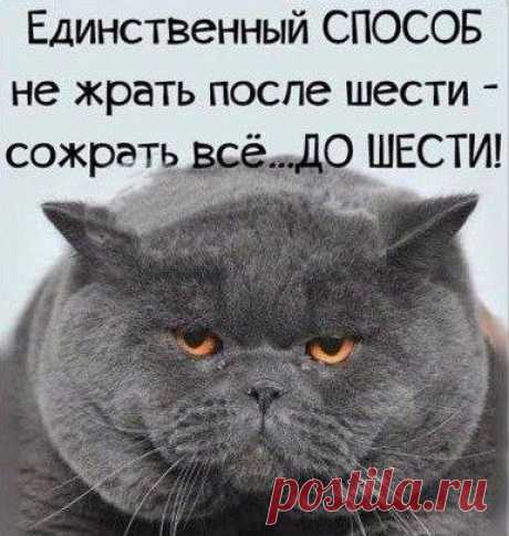 Сообщество для современных бабушек, дедушек и не только! Присоединяйтесь!