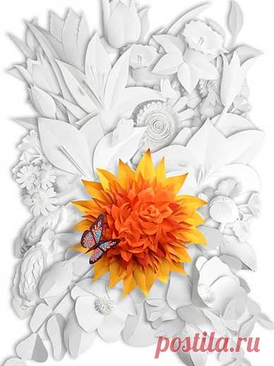 Gail Armstrong Illustration Portfolio