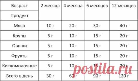 Чем кормить чихуахуа: рацион по месяцам с фото и видео