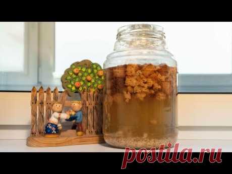 Квас домашний на закваске без дрожжей из ржаного хлеба