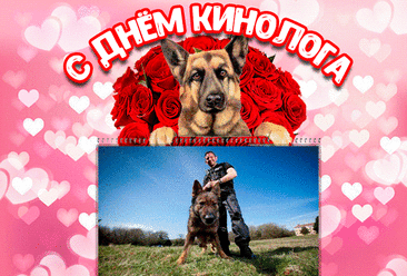 И в день погожий летний
Нам хочется поздравить
Тех, кто за них в ответе,
Кто службе обучает.
С днем кинолога!