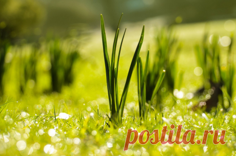 Можно ли предотвратить рак, благодаря переменам в питании и образе жизни?