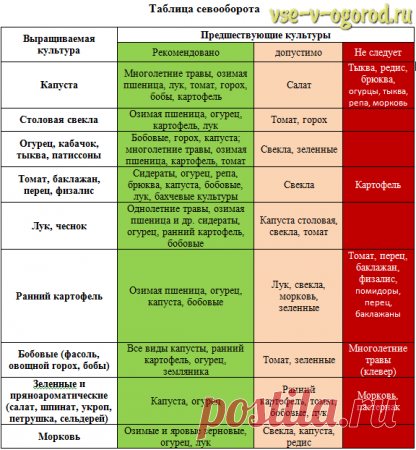 Таблица севооборота - Садоводка