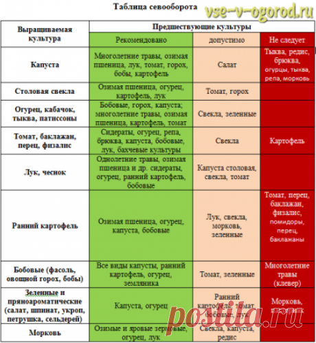 Таблица севооборота - Садоводка