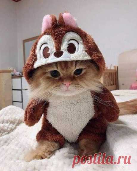 Pinterest