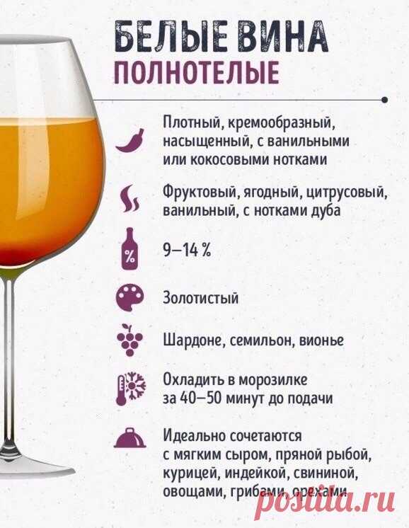 Шпаргалки для тех, кто любит вино — Кулинарная книга - рецепты с фото