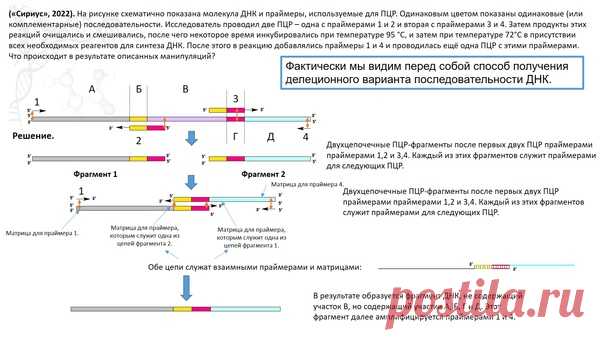 Разобрал очередную задачу от образовательного центра 