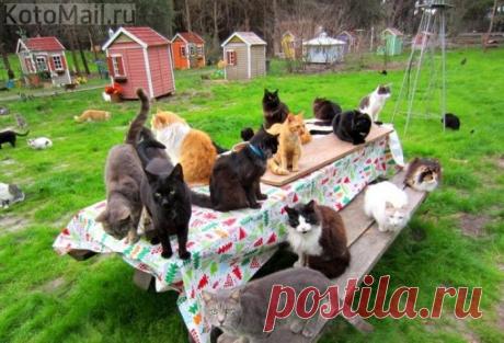 Наш сказочный мир)))