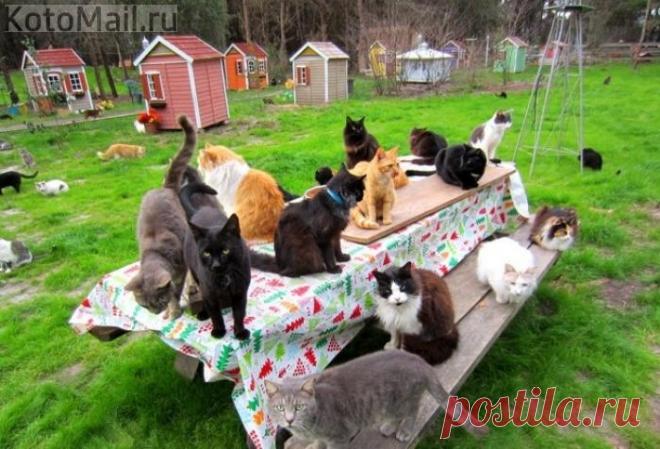 Наш сказочный мир)))