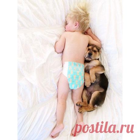 Сладкая парочка спящих