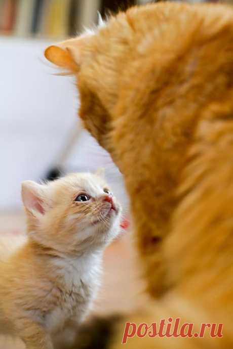 Разные вселенные