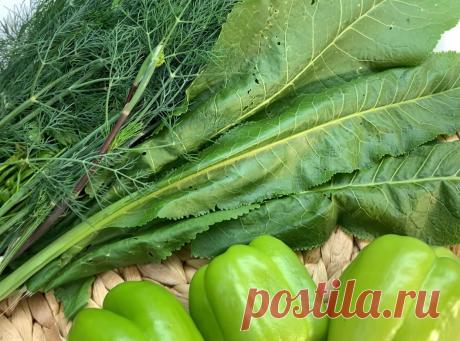 Готовлю раз и всегда держу наготове свою "отпадную" заготовку из листа хрена: и к мясу, и к рыбе, а можно и в суп добавить | Анна Юрагина | Простые рецепты | Яндекс Дзен