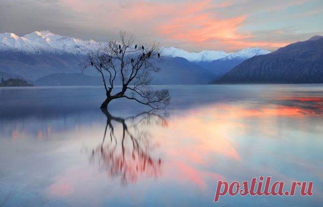 Никогда не сдавайся! Подборка достойных  | Мир Фотографии