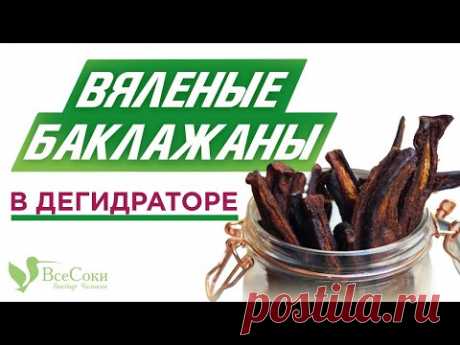 Рецепт приготовления вяленых баклажанов в дегидраторе Tribest Sedona Combo
