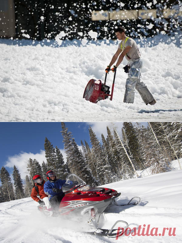 Как выбрать моторное масло для садовой и силовой техники