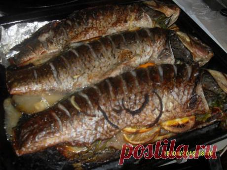 (81) Одноклассники