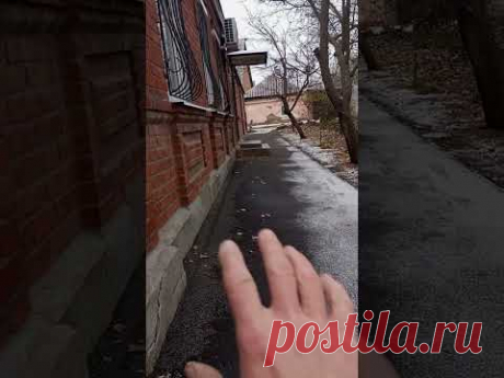 2 декабря 2024 г.