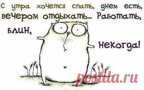 Мой Мир@Mail.Ru