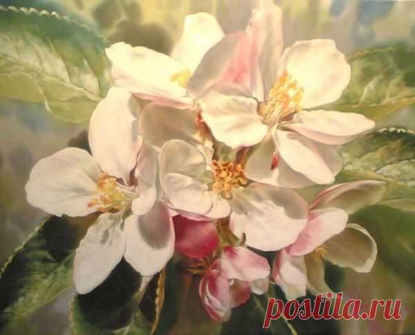 Чудеса там, где в них верят!