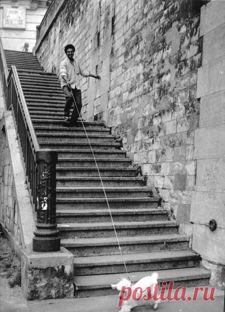 (1) A Lifetime Photography