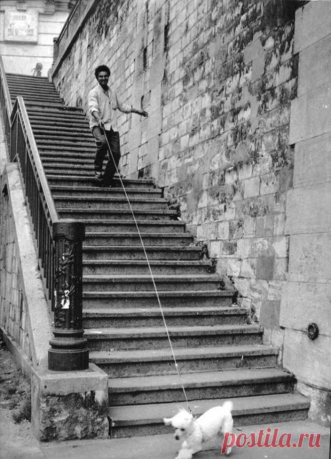 (1) A Lifetime Photography