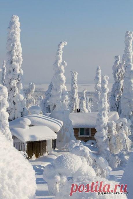 Найдено на сайте kaarnikankuvat.blogspot.com.