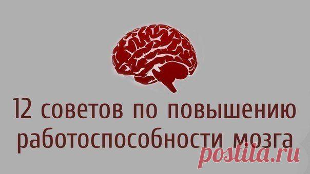 12 советов по повышению работоспособности мозга