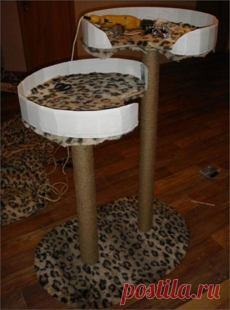 ​Когтеточка для кошек и лежак: два в одном