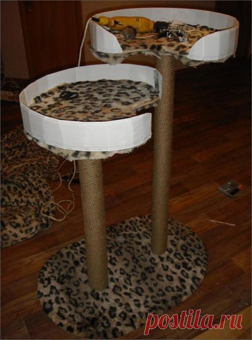 ​Когтеточка для кошек и лежак: два в одном