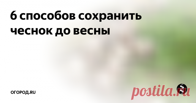 6 способов сохранить чеснок до весны Фирменные рецепты хранения урожая чеснока от опытных огородников.