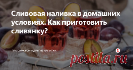 Сливовая наливка в домашних условиях. Как приготовить сливянку? Видов алкоголя из слив так же много, как сортов этого фрукта. Из белых, красных и темно-синих плодов в разных странах готовят напитки от крепкой ракии до легкого вина.