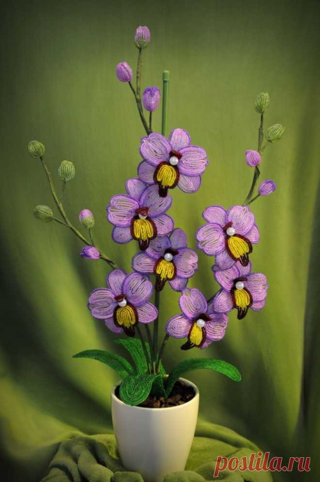 biser.info_74535_orkhideja_1388729537.jpg (680×1024)