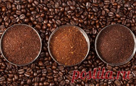 Кофе, как в кофейне - секреты выбора сорта и помола, рецепты без кофемашины | Рекомендательная система Пульс Mail.ru