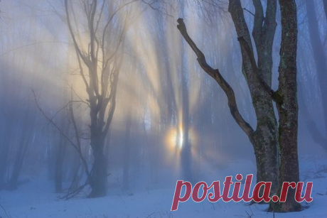 Pinterest