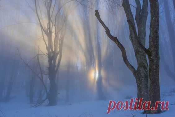 Pinterest