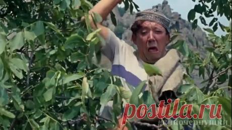 Чёткий монтаж