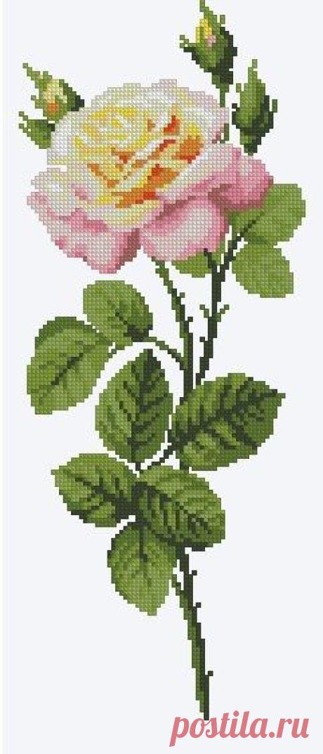 Cross stitch charts