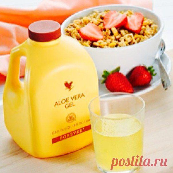 Из самого сердца растения извлекается сок, богатый полезными веществами и витаминами. Гель Алоэ Вера идентичен по свойствам свежесрезанным листьям Алоэ Вера и содержит биологически активные и питательные вещества, полезные для организма, включая ферменты, а также минералы, витамины и аминокислоты.