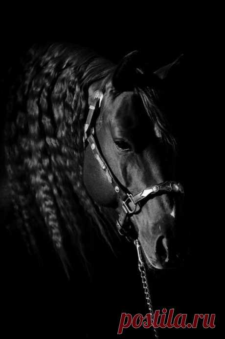 (61) Pinterest