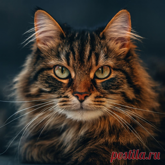 Сбежала от бабушки - OGADANIE.RU