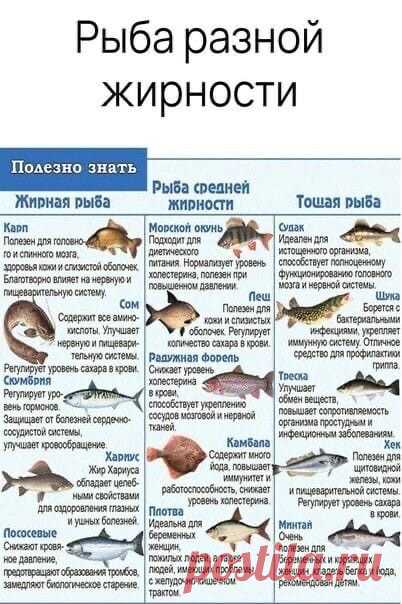 Рыбу разделили на три категории по её жирности.
Каждая по своему вкусна и полезна. Смотрите, какая больше полезна для Вас.