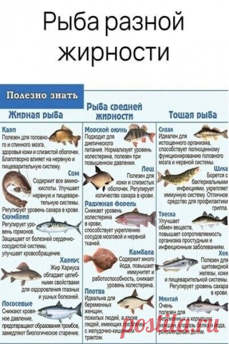 Рыбу разделили на три категории по её жирности.
Каждая по своему вкусна и полезна. Смотрите, какая больше полезна для Вас.