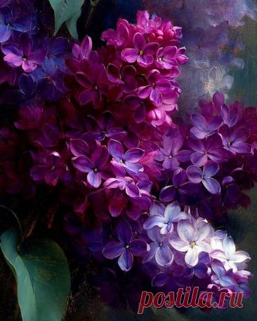 Пин на доске яСИРЕНЬ