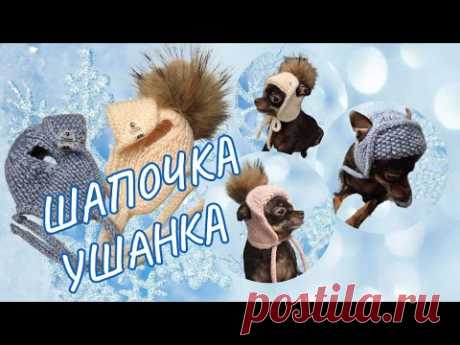 Шапочка ушанка для собак