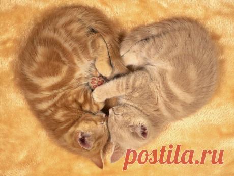 Вместе теплее))