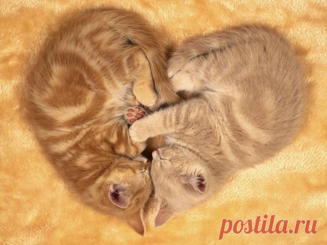 Вместе теплее))