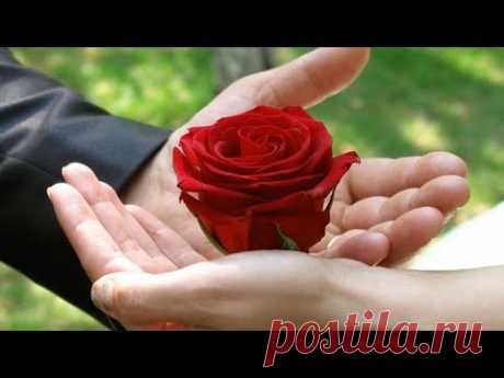 ВЛОГ: РОЗА для мужчины! /Шторы-тюль-обновляю комнату!/ТЕАТР. Виктор Сухоруков