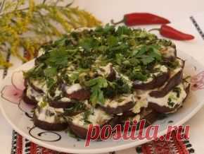 Закуски из баклажанов — 38 рецептов с фото. Как вкусно приготовить баклажаны?